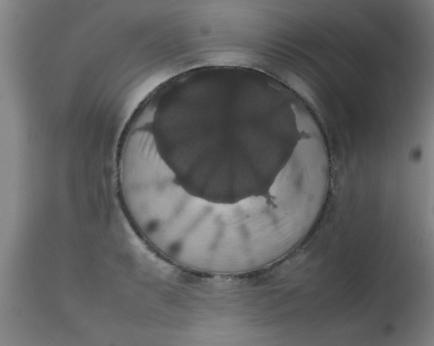X0000112531087200909071352