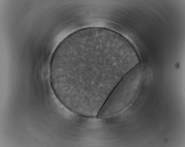 X0000112531088200909071352