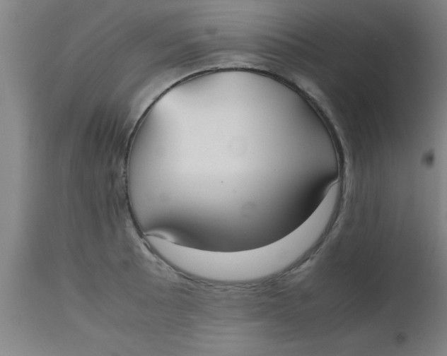 X0000112531089200909071352