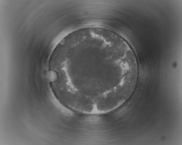 X0000112531090200909071352