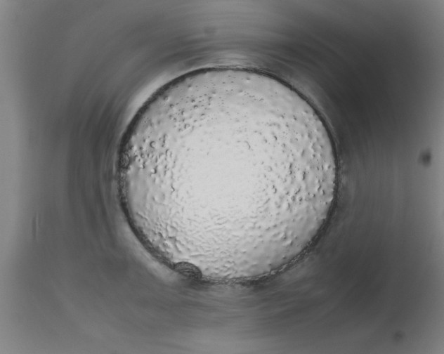 X0000112531091200909071352