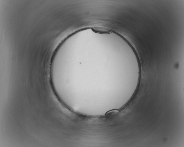 X0000112531093200909071352