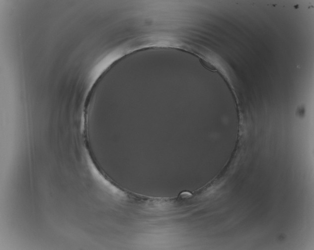 X0000112531095200909071352