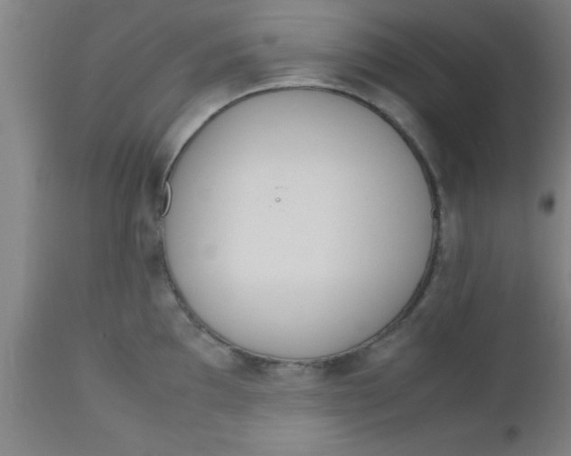 X0000112531097200909071352