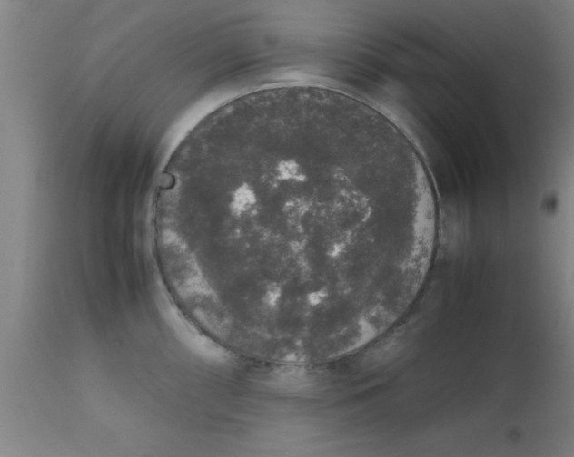 X0000112531098200909071352