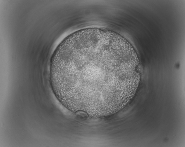 X0000112531099200909071352