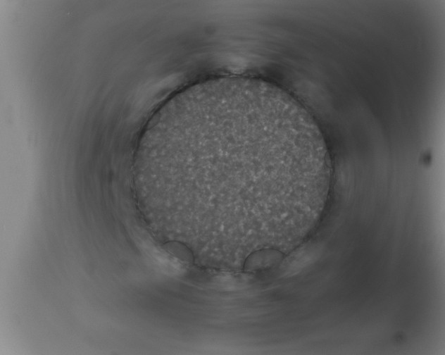 X0000112531105200909071351