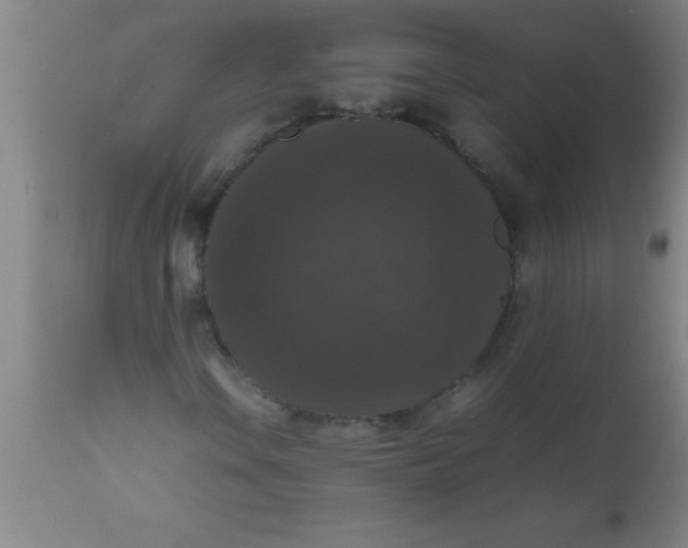 X0000112531106200909071351