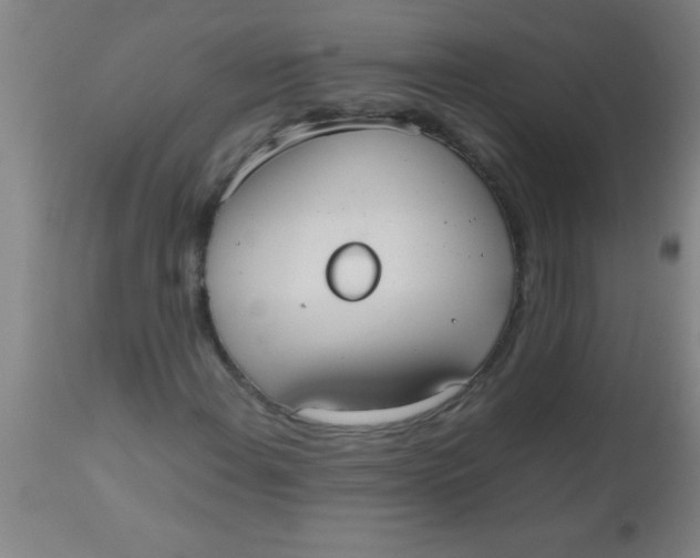 X0000112531108200909071351