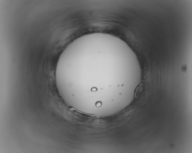 X0000112531109200909071351