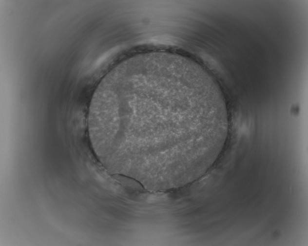 X0000112531110200909071351