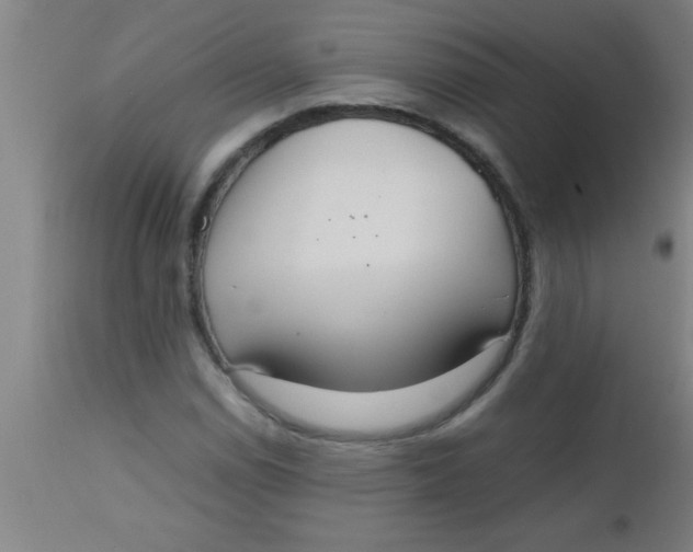 X0000112531114200909071351