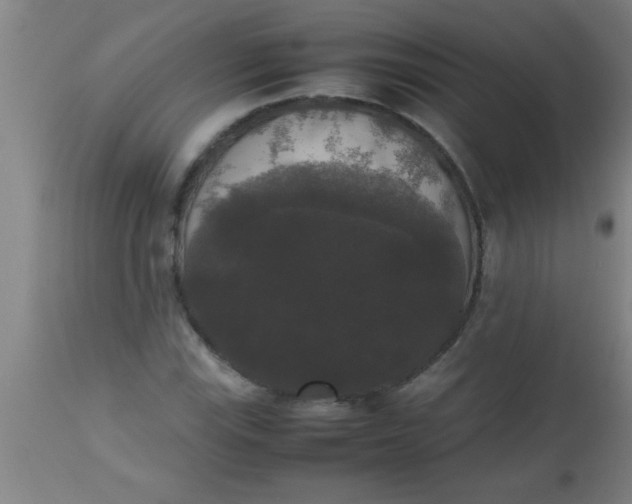 X0000112531115200909071351