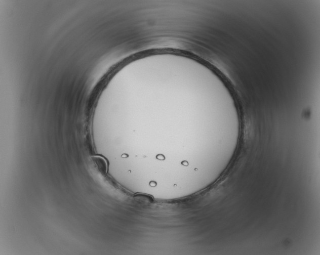 X0000112531116200909071351