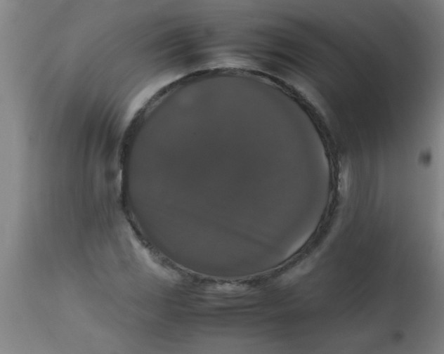 X0000112531117200909071351