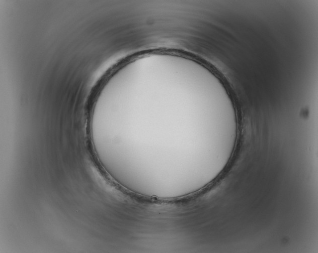 X0000112531118200909071351
