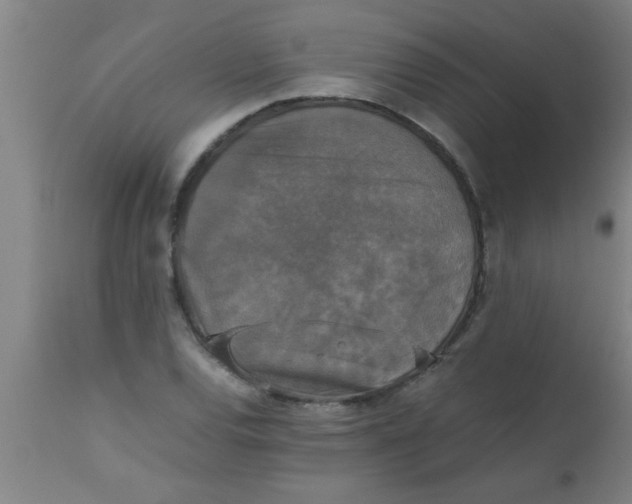 X0000112531120200909071351