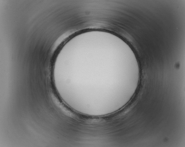 X0000112531122200909071351