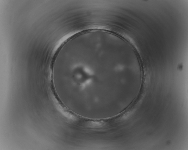 X0000112531125200909071351