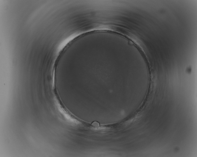 X0000112531127200909071351