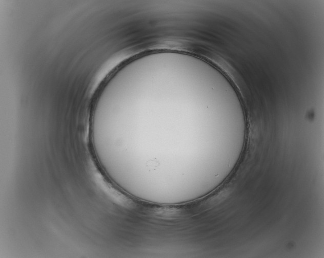 X0000112531131200909071351