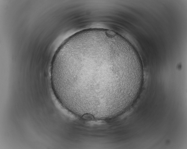 X0000112531133200909071351