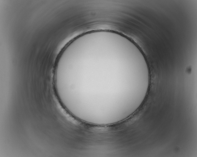 X0000112531134200909071351
