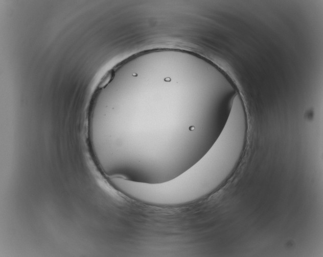 X0000112531136200909071351
