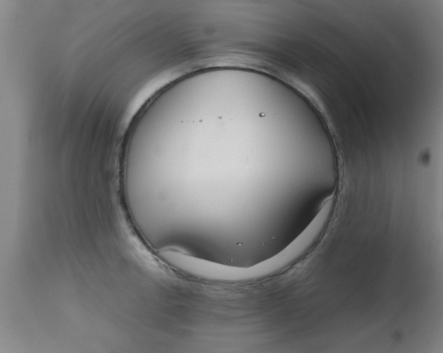 X0000112531138200909071351