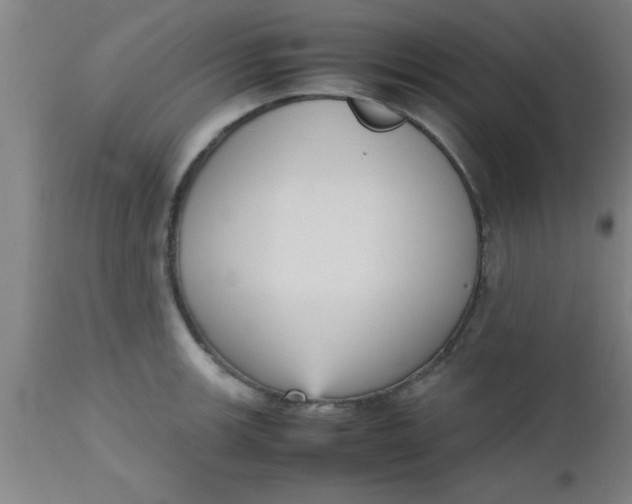 X0000112531139200909071351