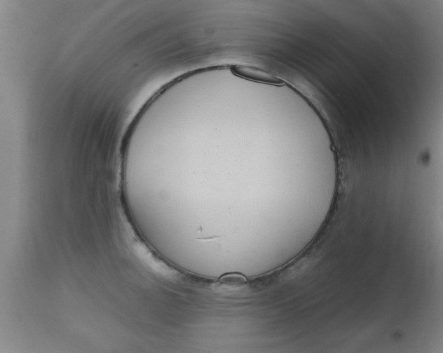 X0000112531140200909071351
