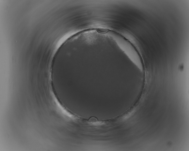 X0000112531141200909071351