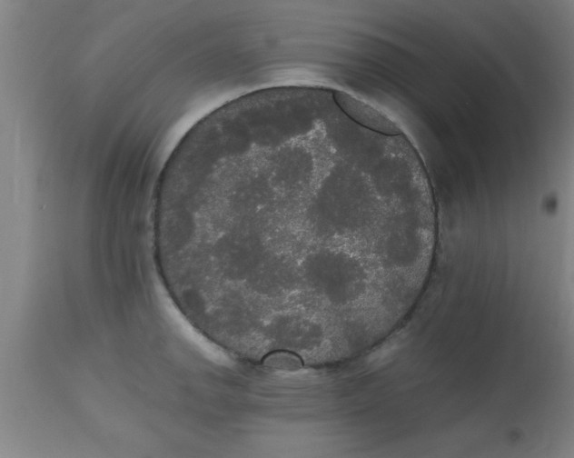 X0000112531142200909071351
