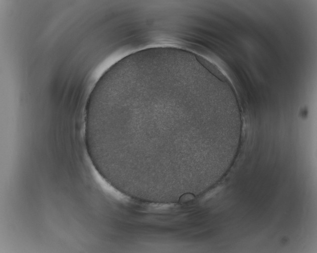 X0000112531143200909071351