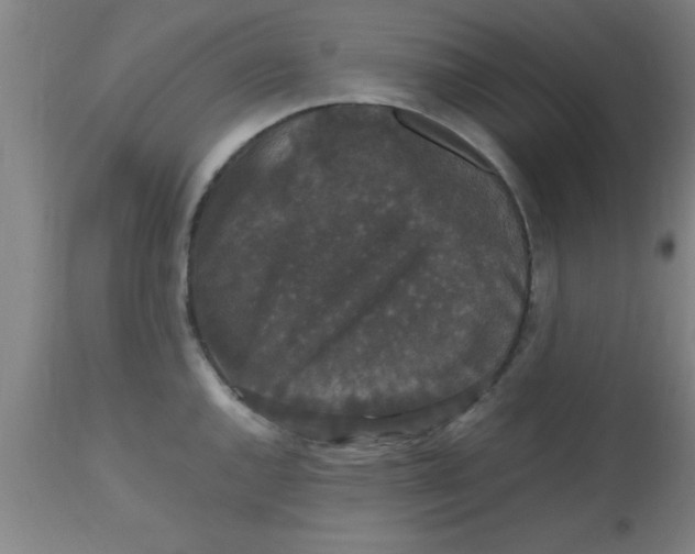 X0000112531144200909071351