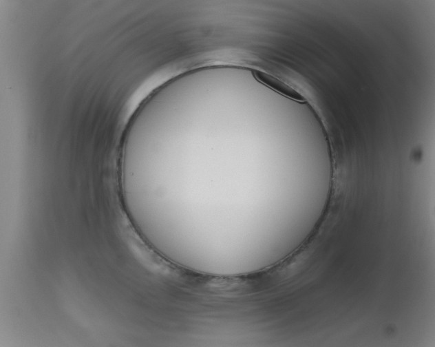 X0000112531146200909071351