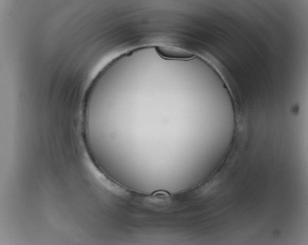 X0000112531147200909071351