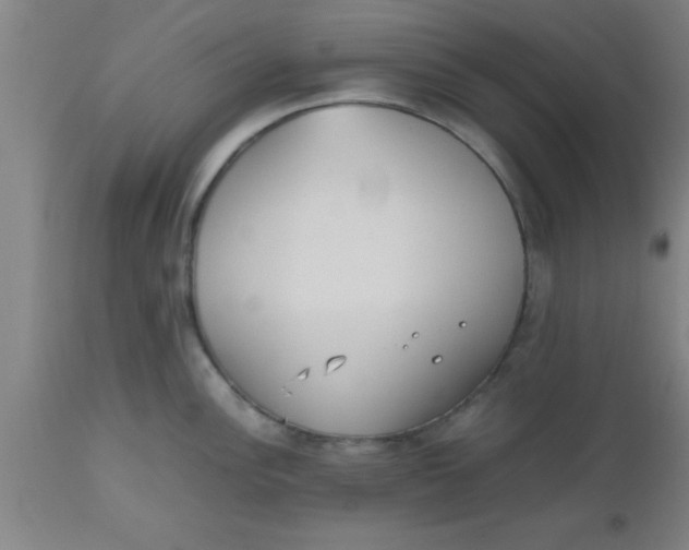 X0000112531148200909071351