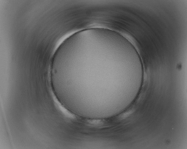 X0000112531149200909071351