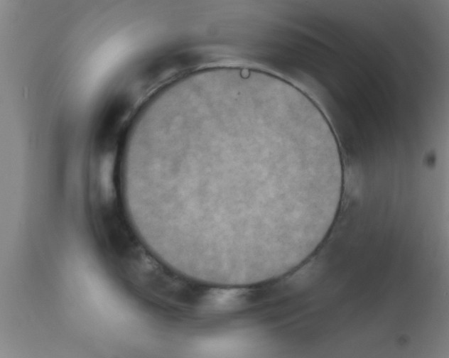 X0000112531150200909071351