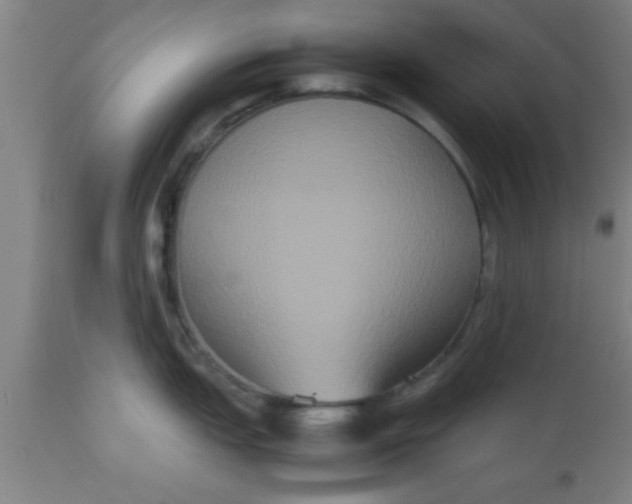 X0000112531151200909071351