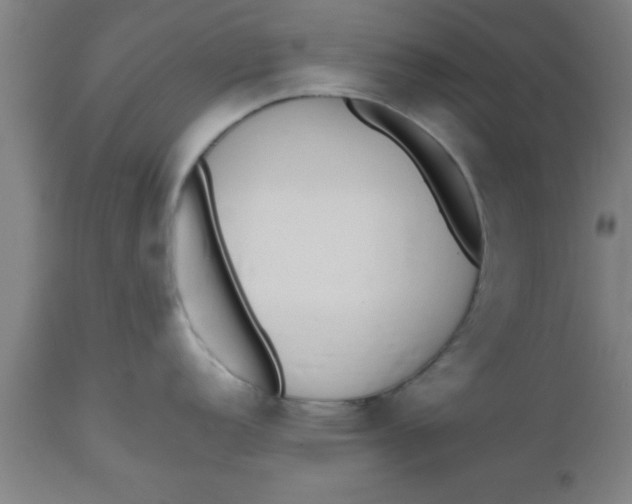 X0000112531152200909071351