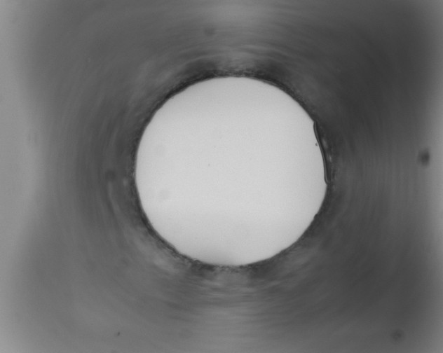 X0000112531153200909071351