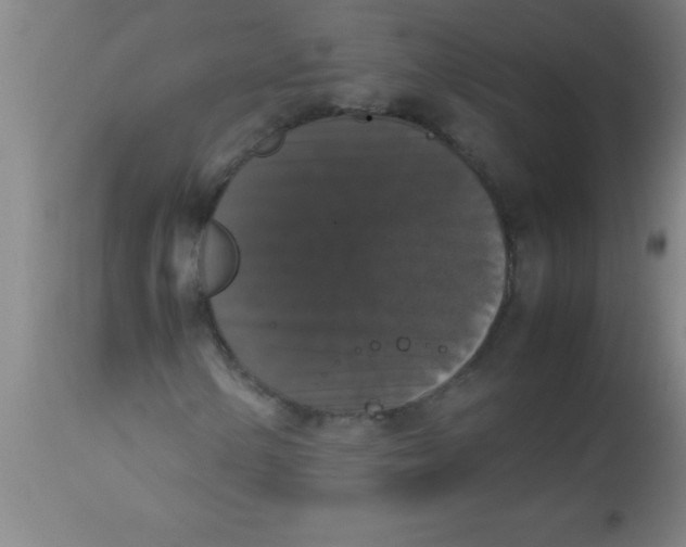 X0000112531154200909071351