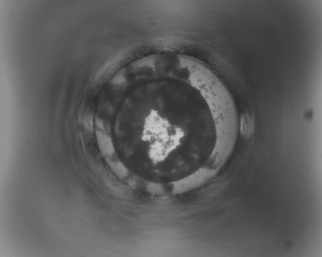 X0000112531155200909071351