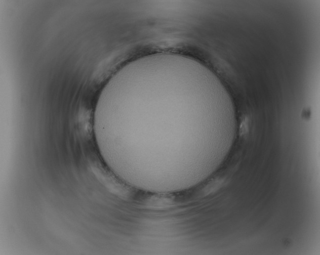 X0000112531156200909071351