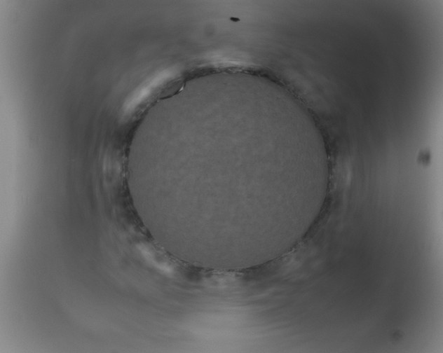 X0000112531157200909071351