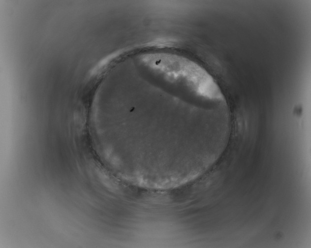 X0000112531158200909071351