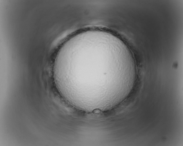 X0000112531159200909071351