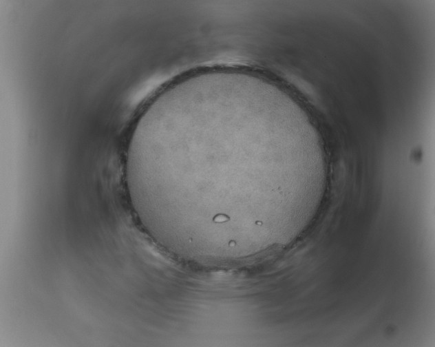 X0000112531160200909071351